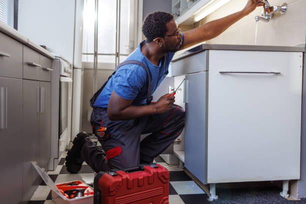 Best Garbage Disposal Repair and Installation  in Blennerhassett, WV